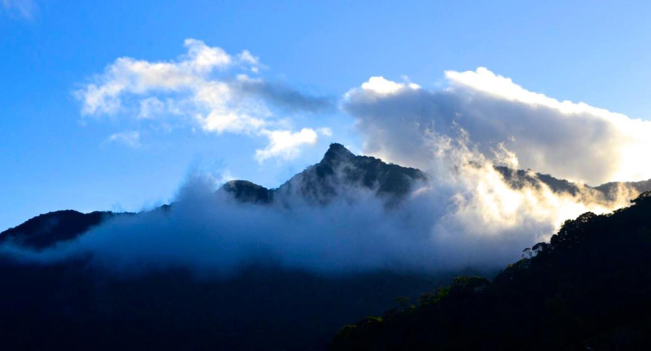 Casa Da Floresta Pico Da Aguia Παρατί Εξωτερικό φωτογραφία