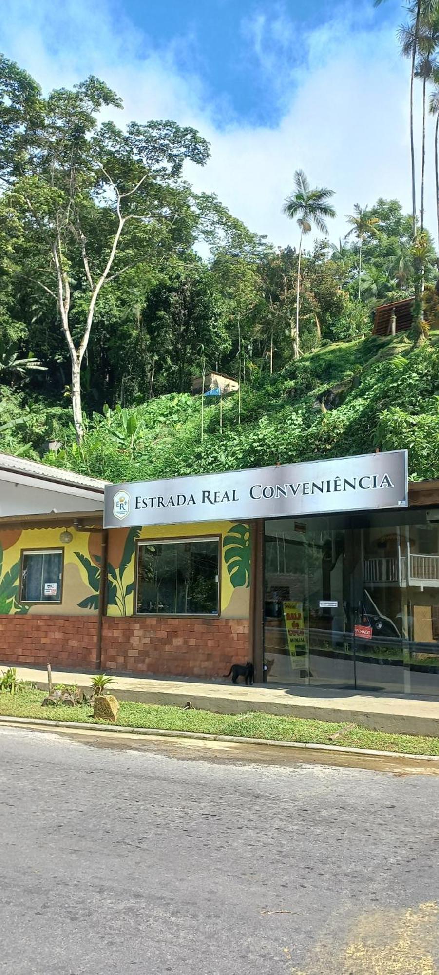 Casa Da Floresta Pico Da Aguia Παρατί Εξωτερικό φωτογραφία