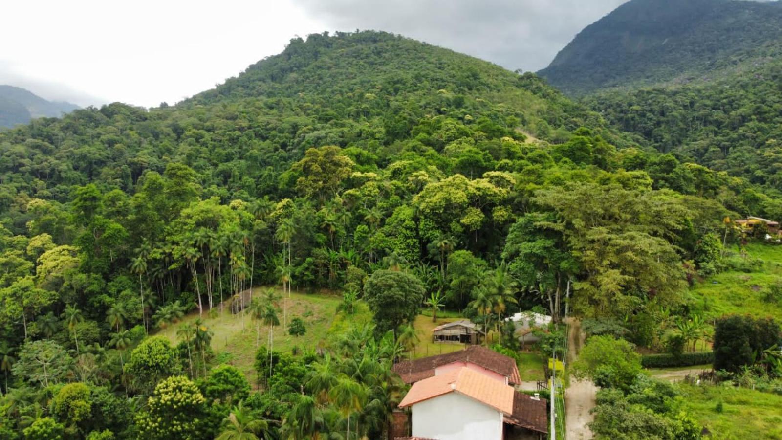 Casa Da Floresta Pico Da Aguia Παρατί Εξωτερικό φωτογραφία