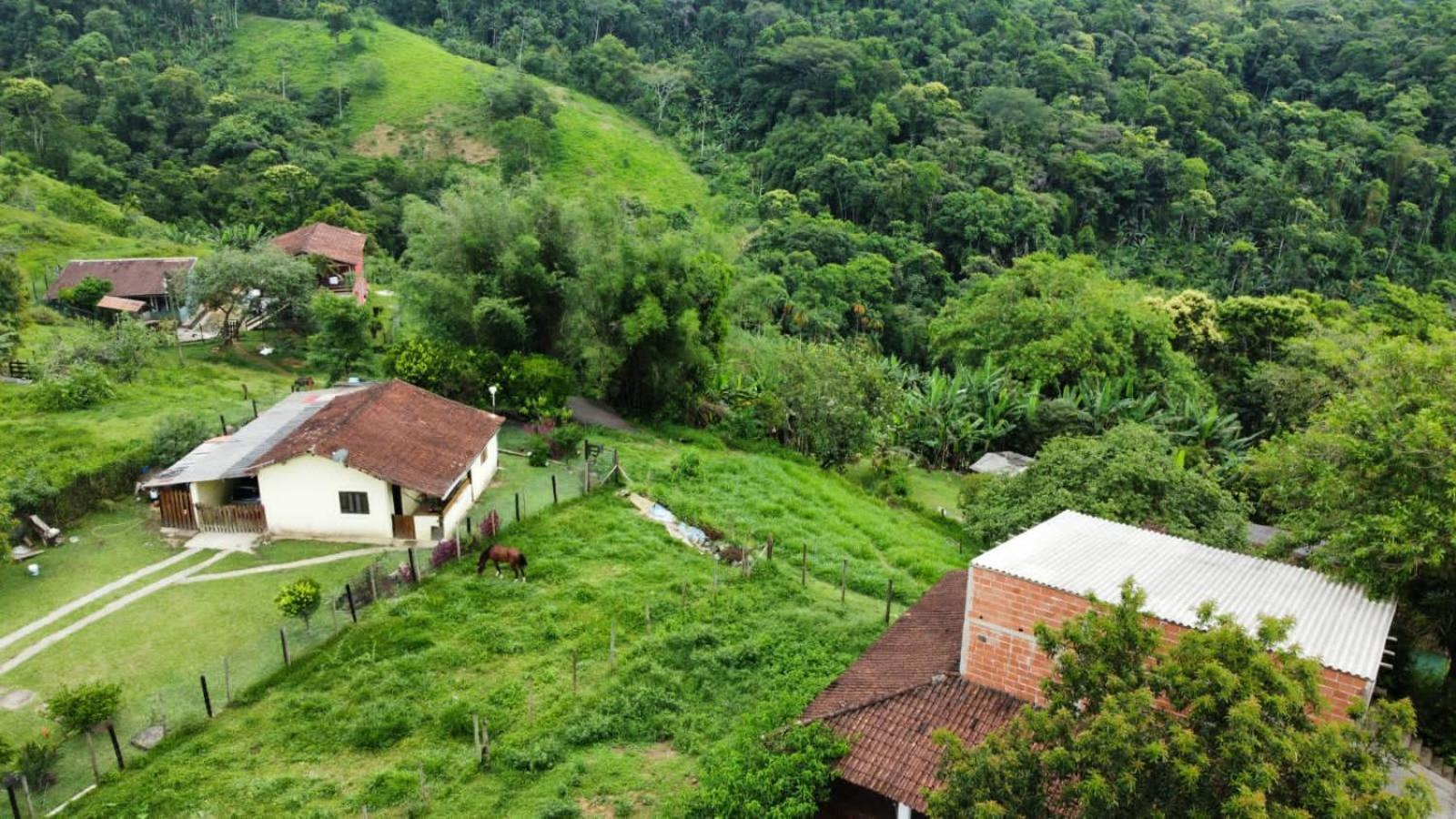 Casa Da Floresta Pico Da Aguia Παρατί Εξωτερικό φωτογραφία
